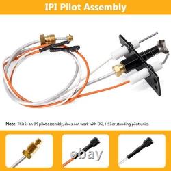 4021-422 Natural Gas IPI Assembly Replacement Fireplace Igniter Sensor Kit Part
