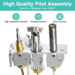 4021-732 Natural Gas Assembly with Thermocouple Thermopile Fireplace Replacement