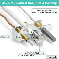 4021-732 Natural Gas Assembly with Thermocouple Thermopile Fireplace Replacement