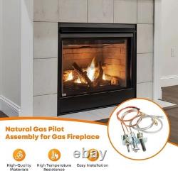 4021-732 Natural Gas Pilot Assembly Replacement Part Compatible with Heatil