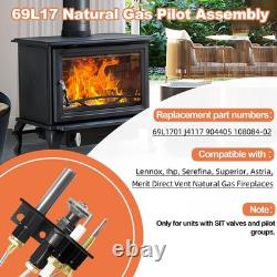69L17 69L1701 J4117 904405 Pilot Assembly Natural Gas NG Replacement Parts108