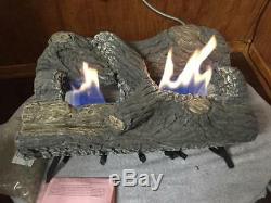 Desa Majestic Natural Gas 24 Vent-Free Fireplace Burner & Log Set Model # H24N