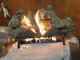 Fyre-lite Vented 21 Fireplace Burner Burned Oak Ceramic (6) Piece Log Set Eb21