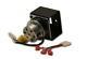 Hht Feed Motor For Quadra-fire Pellet Stoves And Inserts (812-4421)