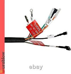 IPIH590 Wire Harness for Gas Fireplace Electronic IPI Pilot Ignition Control