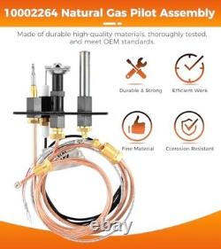 Natural Gas Pilot Assembly Replacement for Fireplaces & Stoves SRV10002264, 21