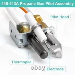 Pilot Assembly Propane Gas LP for Heat N Glo Fireplaces, Gas Log Sets & Inserts