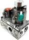 Replacement Natural Gas Variable Valve Ng Gas Valve Ipi 750-500 Metal Hht Part