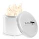 Replacement Parts Fire Pit Lid For Solo Stove Bonfire 19.5, Solo Stove Bonfi